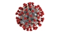 coronavirus-cdc-1585869759[1]